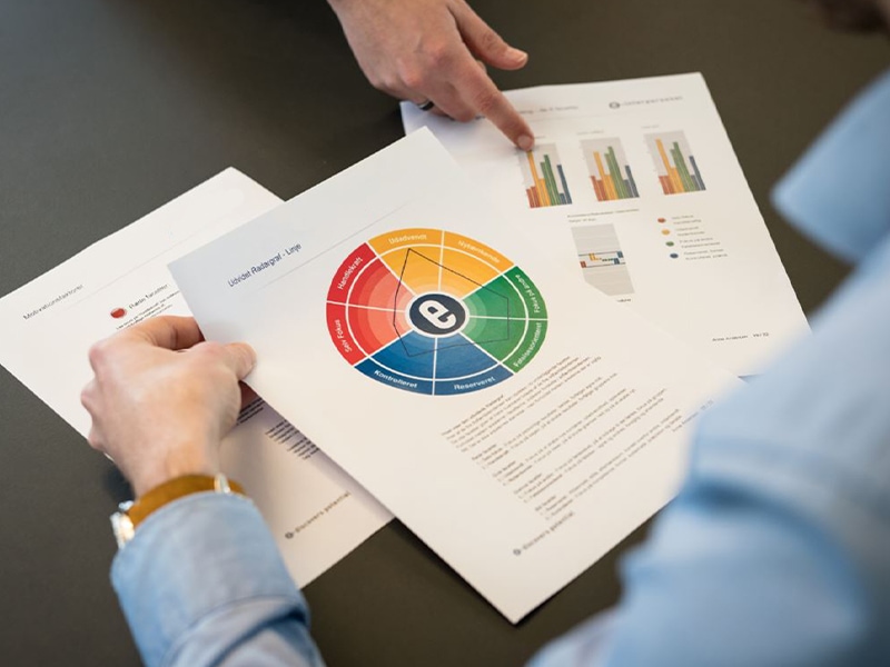 Her vises en disc-profil med medfølgende analyse og certificeret tolkning.